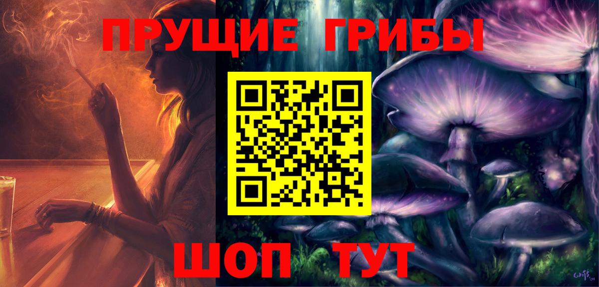 Галлюциногенные грибы MAGIC MUSHROOMS Тверь